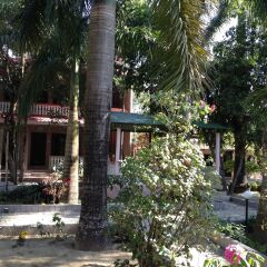 Отель Sauraha Boutique Resort Непал, Саураха - отзывы, цены и фото номеров - забронировать отель Sauraha Boutique Resort онлайн фото 15