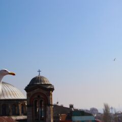 Отель Loor