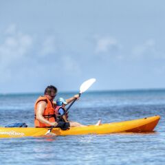 Отель Jean-Michel Cousteau Resort Савусаву приотельная территория фото 2