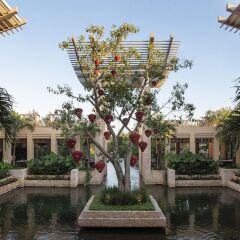 Отель Banyan Tree Mayakoba фото 5