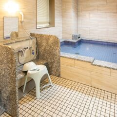Отель Kuretake-Inn Premium Ogakiekimae Огаки фото 25
