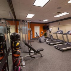 Отель Quality Inn & Suites США, Виксбург - отзывы, цены и фото номеров - забронировать отель Quality Inn & Suites онлайн фитнесс-зал фото 3