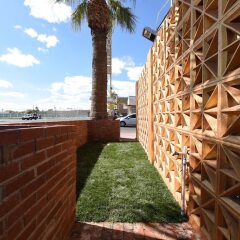 Отель Desert Moon Motel США, Лас-Вегас - отзывы, цены и фото номеров - забронировать отель Desert Moon Motel онлайн бассейн фото 2