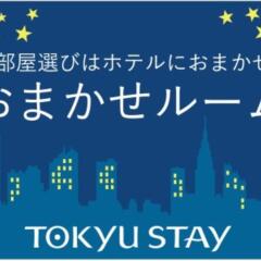 Отель Tokyu Stay Suidobashi Япония, Токио - отзывы, цены и фото номеров - забронировать отель Tokyu Stay Suidobashi онлайн с домашними животными
