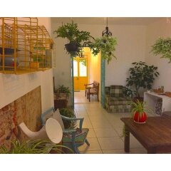 Отель Casa Canario Мексика, Гвадалахара - отзывы, цены и фото номеров - забронировать отель Casa Canario онлайн фото 5