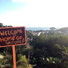 Отель Baan Kongdee Sunset Resort Таиланд, Пхукет - 1 отзыв об отеле, цены и фото номеров - забронировать отель Baan Kongdee Sunset Resort онлайн фото 3