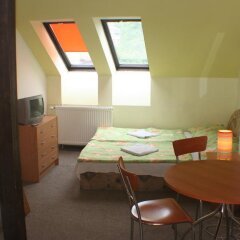 Отель Pension Albert & Residence Прага в номере фото 2