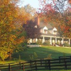 Отель The Welsh Hills Inn