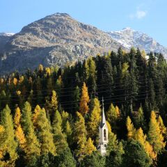 Отель Sport & Wellness Hotel San Gian St Moritz Швейцария, Санкт-Мориц - отзывы, цены и фото номеров - забронировать отель Sport & Wellness Hotel San Gian St Moritz онлайн приотельная территория