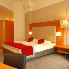 Hotel Alexander Plaza комната для гостей