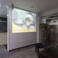 Отель Seoul City Hotel Южная Корея, Сеул - отзывы, цены и фото номеров - забронировать отель Seoul City Hotel онлайн интерьер отеля фото 2
