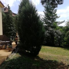 Апартаменты Family Style & Garden Apartments с домашними животными