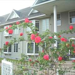 Отель Condominium Square Hills Никко фото 8