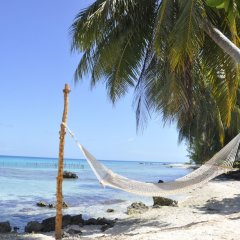 Отель Le Coconut Lodge Французская Полинезия, Рангироа - отзывы, цены и фото номеров - забронировать отель Le Coconut Lodge онлайн пляж фото 3