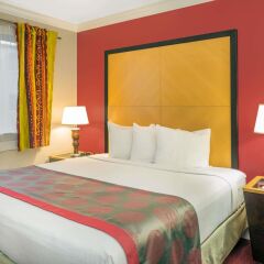 Отель Ramada by Wyndham Miami Springs/Miami International Airport США, Майами-Спрингс - отзывы, цены и фото номеров - забронировать отель Ramada by Wyndham Miami Springs/Miami International Airport онлайн комната для гостей фото 2