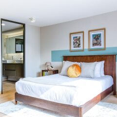 Отель Incredible and Spacious 2BR 2BA Apt in Polanco Мехико фото 5