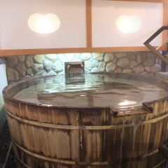 Отель Kinugawa Park Hotels Park Cottage Никко ванная