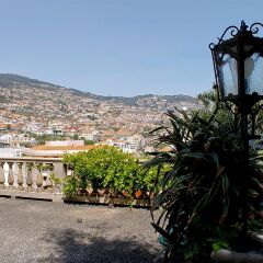 Отель Monte Carlo Португалия, Фуншал - отзывы, цены и фото номеров - забронировать отель Monte Carlo онлайн фото 11