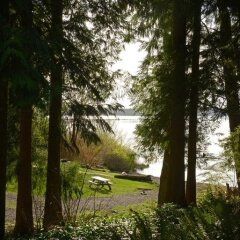 Отель Lake Quinault Lodge Куинолт фото 9
