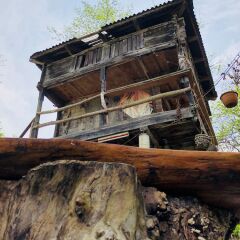 Отель Tabiat Bungalows Чамлыхемшин фото 8