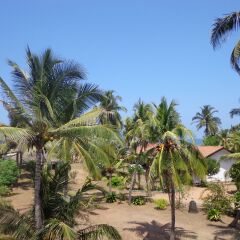 Hotel Star White Negombo пляж фото 2
