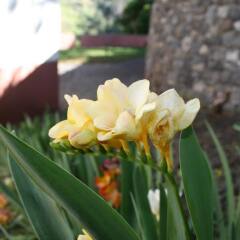 Отель Quinta Da Capela Машику фото 8