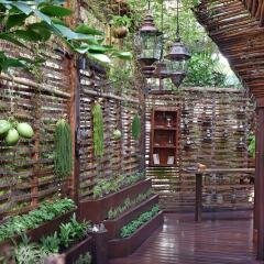 Отель Rosewood Mayakoba развлечения
