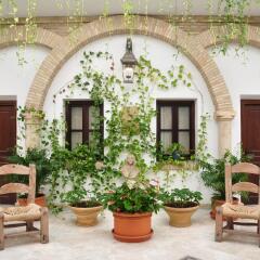 Отель Hacienda Posada De Vallina Испания, Кордова - 2 отзыва об отеле, цены и фото номеров - забронировать отель Hacienda Posada De Vallina онлайн фото 10