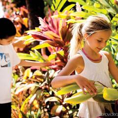 Отель Four Seasons Resort Maui at Wailea развлечения
