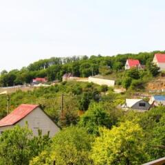 Гостиница Гостевой дом Комфорт в Адлере отзывы, цены и фото номеров - забронировать гостиницу Гостевой дом Комфорт онлайн Адлер приотельная территория фото 2