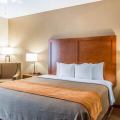 Отель Comfort Inn North/Polaris Колумбус комната для гостей фото 3