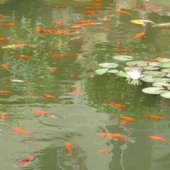 Glamor Hotel Suzhou фото 3