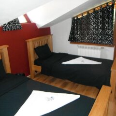 Отель Dragushinovo Boutique Chalet Hotel Болгария, Боровец - отзывы, цены и фото номеров - забронировать отель Dragushinovo Boutique Chalet Hotel онлайн фото 8