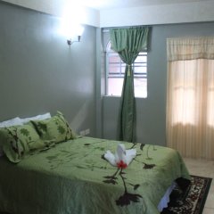 Rejens Hotel in Massacre, Dominica from 164$, photos, reviews - zenhotels.com guestroom photo 5