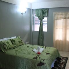 Rejens Hotel in Massacre, Dominica from 63$, photos, reviews - zenhotels.com guestroom photo 5