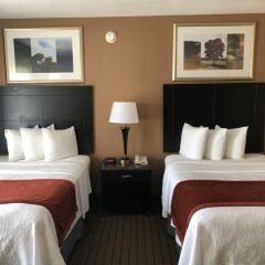 Отель Days Inn by Wyndham Hollywood Near Universal Studios комната для гостей фото 2