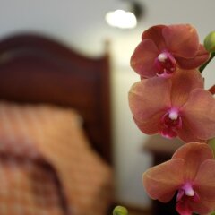 Отель Villa Elisa Аджерола спа