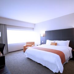 Hotel Novit in Mexico City, Mexico from 141$, photos, reviews - zenhotels.com guestroom photo 4