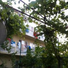Гостиница Guest House on Starshinova st. 14