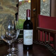 Отель Holiday Villa in Douro Valley гостиничный бар