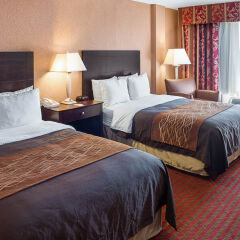 Отель Comfort Inn MSP Airport - Mall of America США, Блумингтон - отзывы, цены и фото номеров - забронировать отель Comfort Inn MSP Airport - Mall of America онлайн комната для гостей фото 4