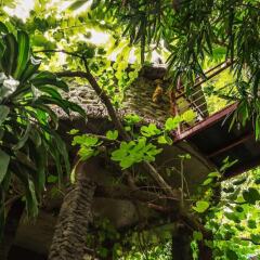 Отель Dao Anh Khanh Treehouse Ханой фото 11