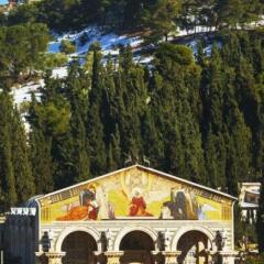 Mount Of Olives Hotel Израиль, Иерусалим - 4 отзыва об отеле, цены и фото номеров - забронировать отель Mount Of Olives Hotel онлайн фото 2