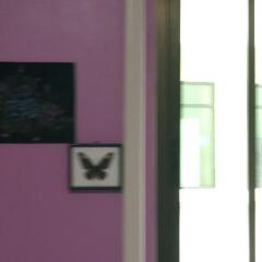 Отель New C.H. Guest House