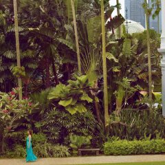 Отель Raffles Singapore Сингапур