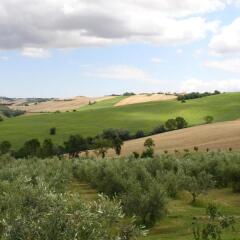 Отель Agriturismo Al Crepuscolo Италия, Реканати - отзывы, цены и фото номеров - забронировать отель Agriturismo Al Crepuscolo онлайн спортивное сооружение