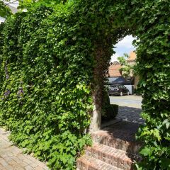 Отель De Tuilerieën - Small Luxury Hotels of the World Бельгия, Брюгге - отзывы, цены и фото номеров - забронировать отель De Tuilerieën - Small Luxury Hotels of the World онлайн фото 5