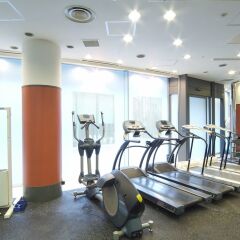 Dai-ichi Hotel Tokyo фитнесс-зал