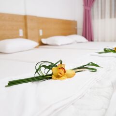 Prei Nokor Hostel комната для гостей фото 4