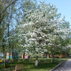Гостиница База отдыха Волна в Тольятти отзывы, цены и фото номеров - забронировать гостиницу База отдыха Волна онлайн